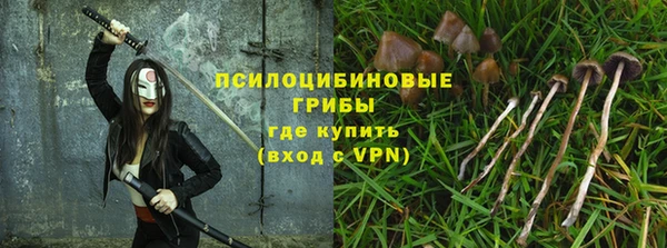 трава Армянск