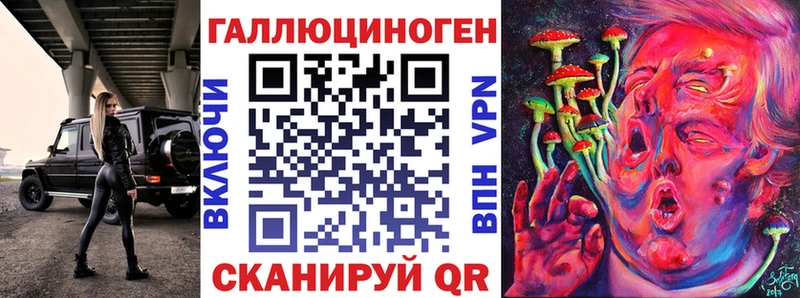 хочу наркоту  Мамадыш  площадка как зайти  Псилоцибиновые грибы Psilocybe 